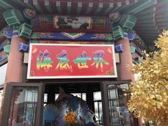 -大明湖海底世界