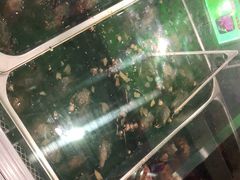 -鸿运兔·手撕烤兔(天府广场店)