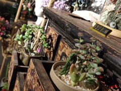 -台上设计餐厅(歌华大厦店)