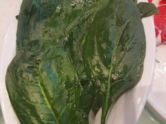 -澳洲肥牛火锅(转盘路店)