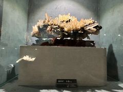 -河南自然博物馆
