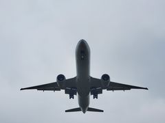 -空港花田景区