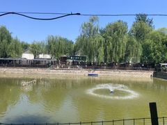 -尚庄度假村·庭台树下·户外烧烤·团建CS·轰趴营地(上庄水库店)