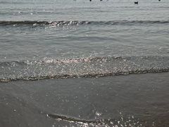 -八大关景区