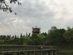 -东郊湿地公园