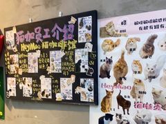 -Heymao猫咖.咖啡厅(东门店)
