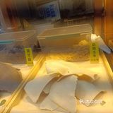 手工制作杂粮锅巴