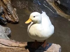 -苏州海洋馆