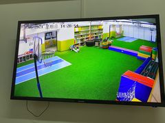 -Dr.Sport运动博士少儿运动能力培养中心(锦华万达运动中心)