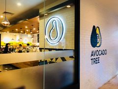 -油梨树 AVOCADO TREE(亮马桥店)