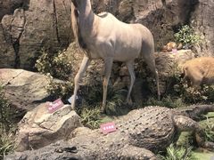 -陕西自然博物馆