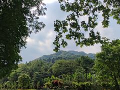 -青城山