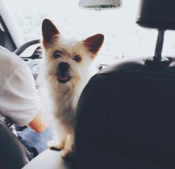 -明星刺青·洗纹身