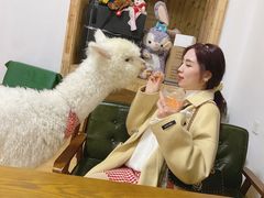 -猫色咖啡·猫咖