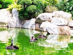 -南宁荔园维景国际酒店·荔园中餐厅