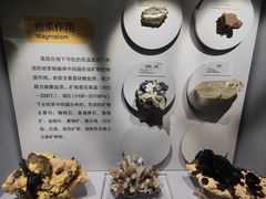 -湖南省地质博物馆