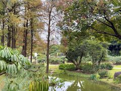 -人民公园(罗湖区)