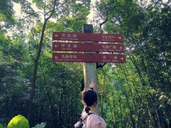 -广州市帽峰山景区