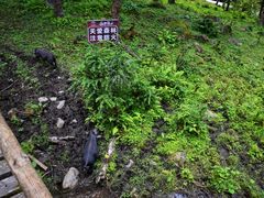 -硗碛藏寨·神木垒景区