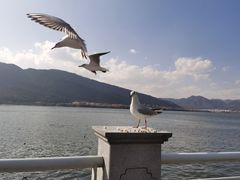 -海埂大坝