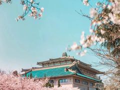 -武汉大学-樱园