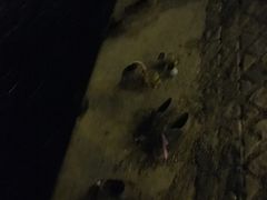 -多瑙河畔鞋履雕塑