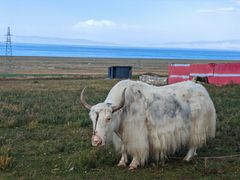 -青海湖国家重点风景名胜区