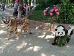 android_upload_pic-太原动物园