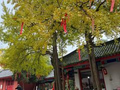 -金堂县云顶石城风景区