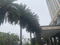 -惠州康帝国际酒店