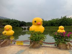 -森波拉奇妙世界