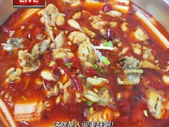 -专业跳跳蛙·彭彭老铺(步行街店)