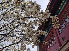 -大钟寺古钟博物馆