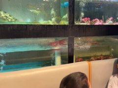 -川味里•商务宴请•团建聚餐(清湖店)