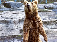 -常州淹城野生动物世界