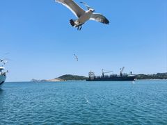 -海驴岛(荣成市)