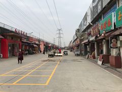-中环花鸟鱼虫市场