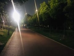 -光明港公园