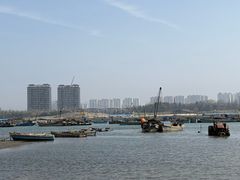 -养马岛旅游度假区