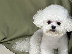 -醉幺妹串串香火锅(石景山古城南路店)