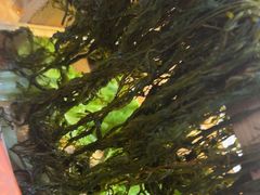 -塔兰齐新疆孜然火锅(鲤鱼山路店)