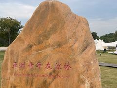 -大湾区中央湿地公园