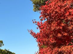 -鹤冈八幡宫