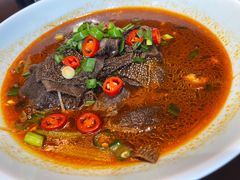 -碧丽宫大酒店(召稼楼店)