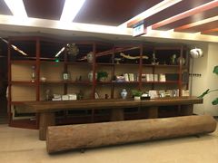 -天目湖涵田半山温泉