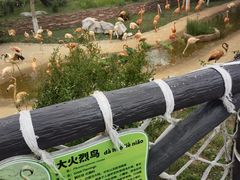 -大连森林动物园