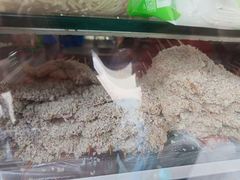 -辽B·小串(总店)