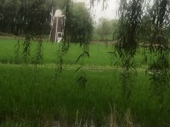 -长兴太湖图影湿地文化园