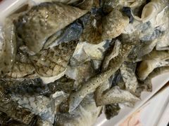 -章记正宗南岗鱼蛋火锅