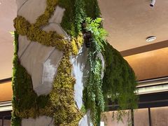 -阿露佳·舌尖上的安吉菜